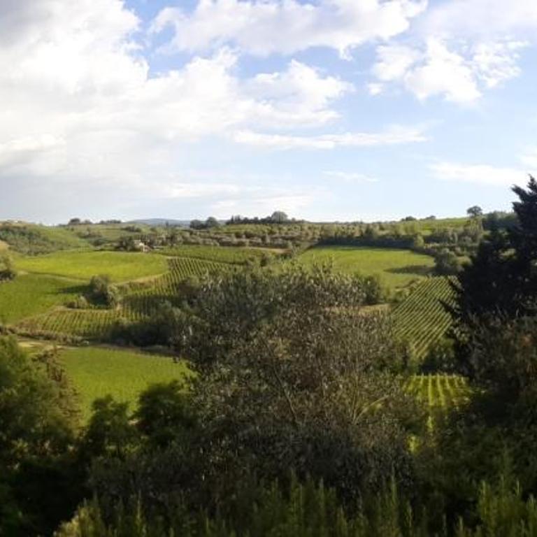 AGRITURISMO IL PINO - APPARTAMENTO CIPRESSO - Appartamento con 2 Camere da Letto - 35