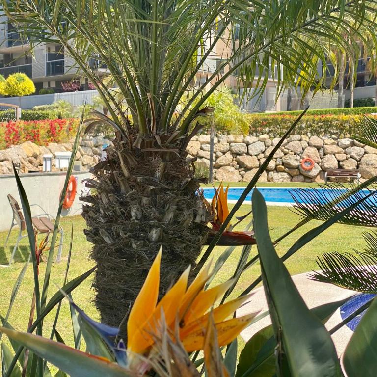 Paradise Aventura - Apartamento de 2 dormitorios - 6