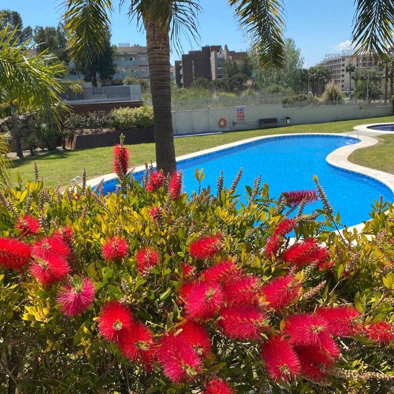 Paradise Aventura - Apartamento de 2 dormitorios - 3