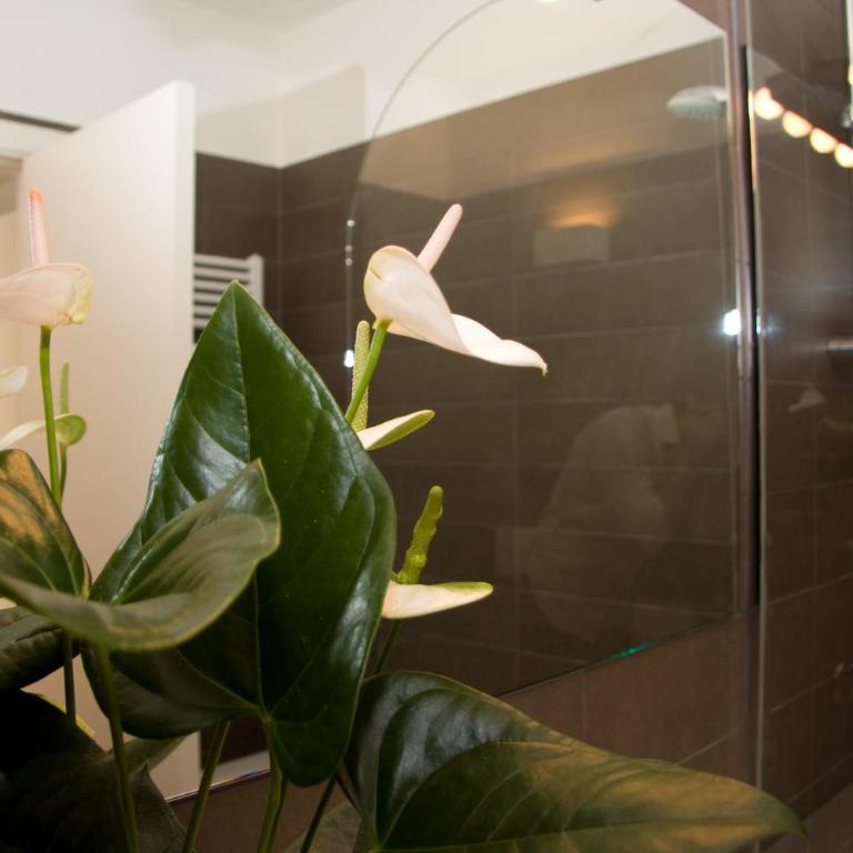 Residence De La Gare - Appartamento Superior - 7