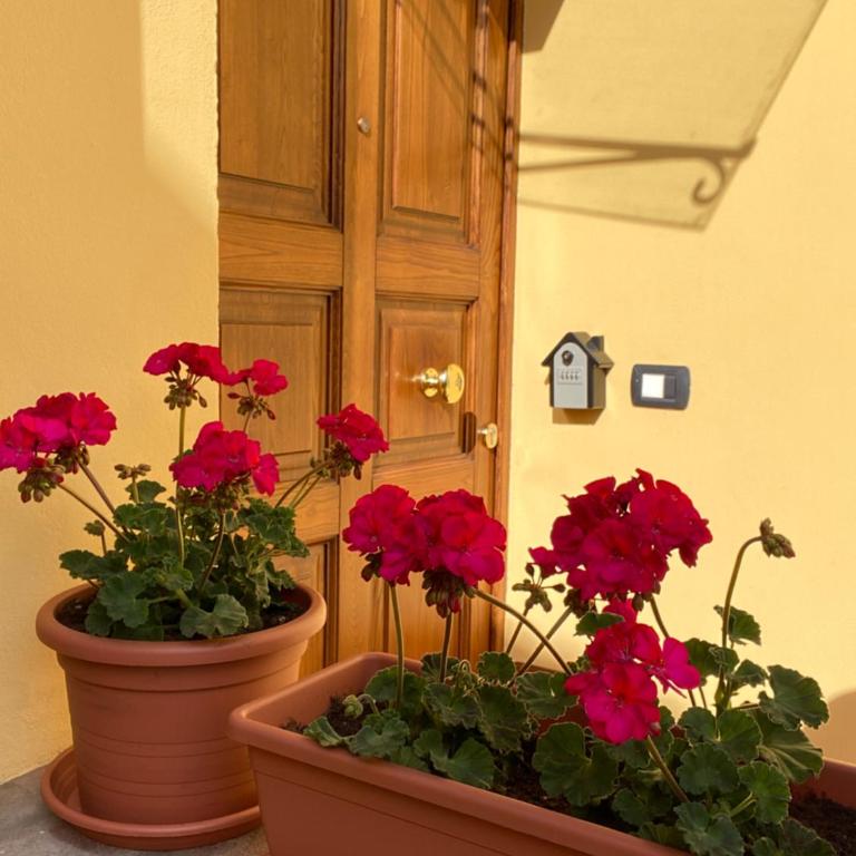 Le Casette di Viola - Casa con 1 Camera da Letto - 58