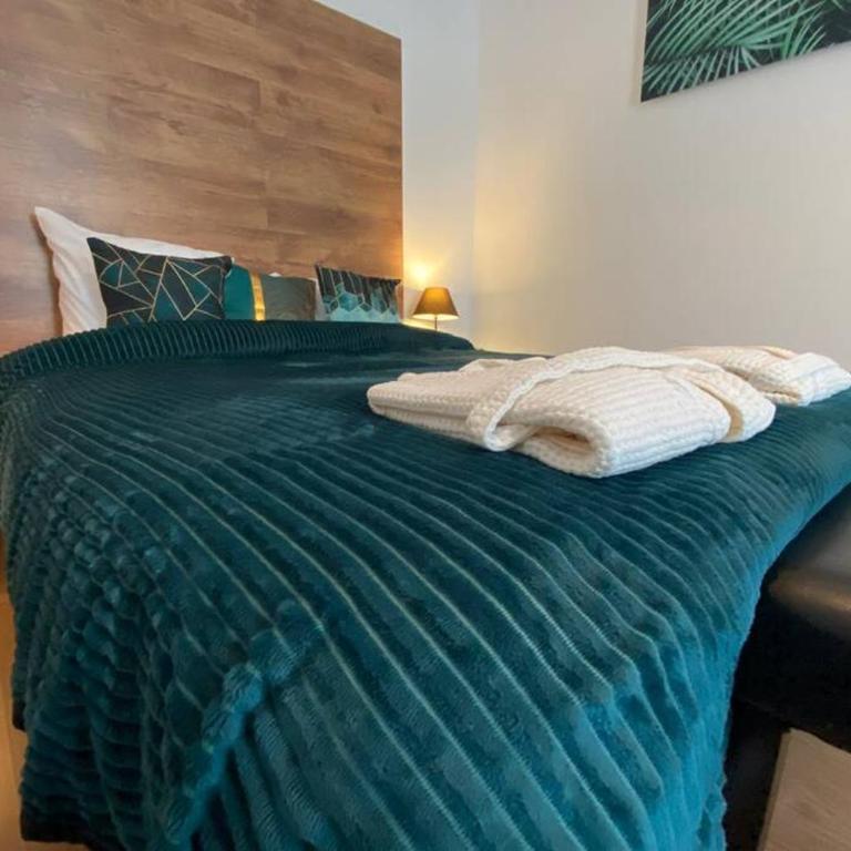 Esprit Luxe .... au coeur de Mulhouse - Appartamento con 1 Camera da Letto - 7