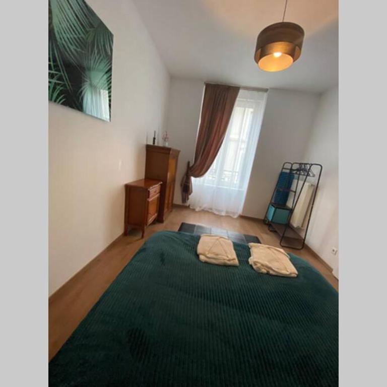 Esprit Luxe .... au coeur de Mulhouse - Appartamento con 1 Camera da Letto - 9