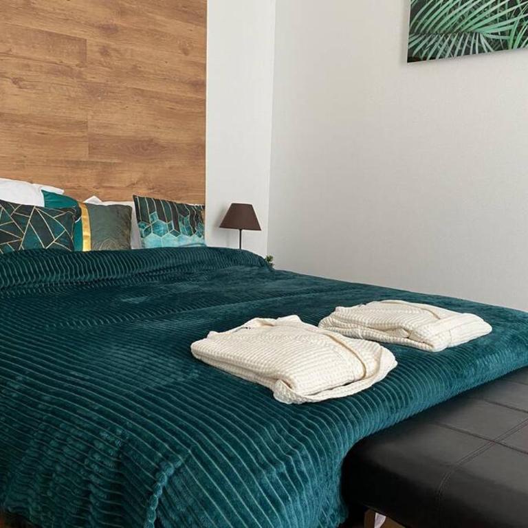 Esprit Luxe .... au coeur de Mulhouse - Appartamento con 1 Camera da Letto - 26