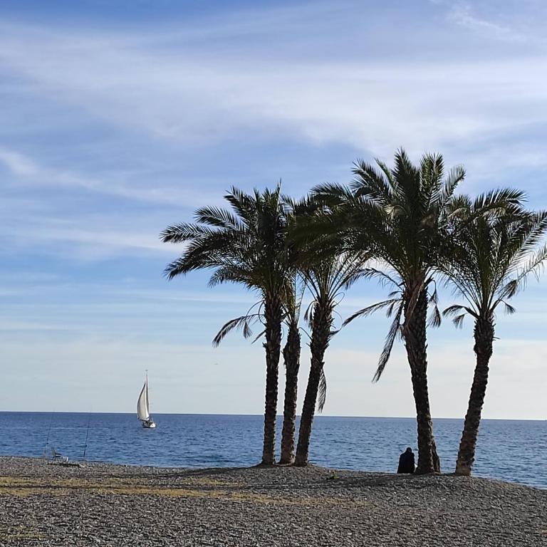 Apartamento Oasis La Herradura - Two-Bedroom Apartment - 20