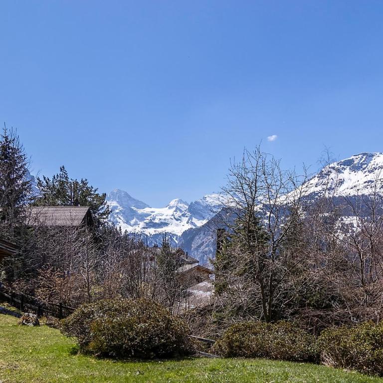 Chalet Steingärtli 1 - Apartment mit 2 Schlafzimmern - 5