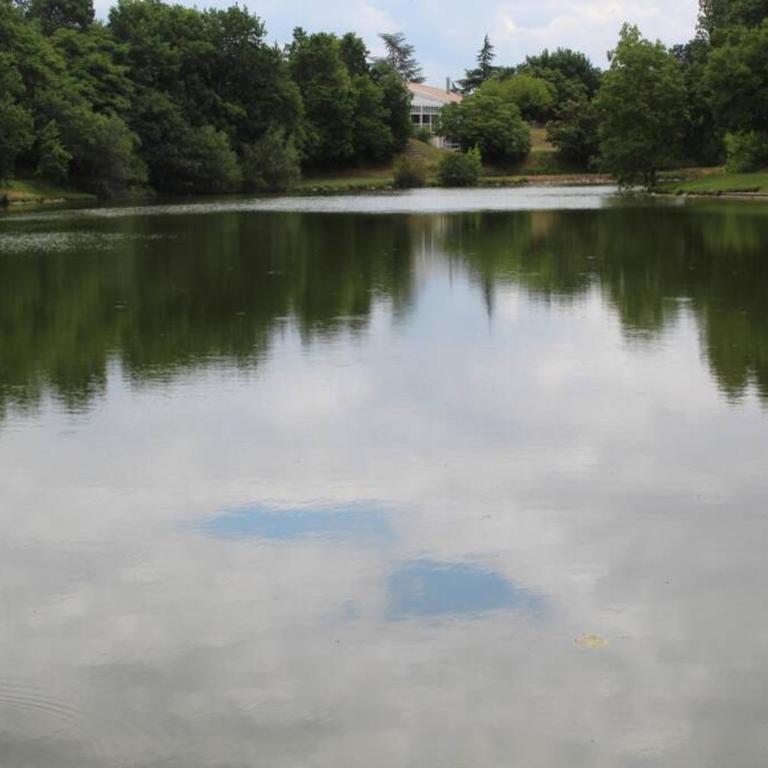 Résidence du Lac-MONFLANQUIN Appartement RDC - Apartment mit Terrasse - 9