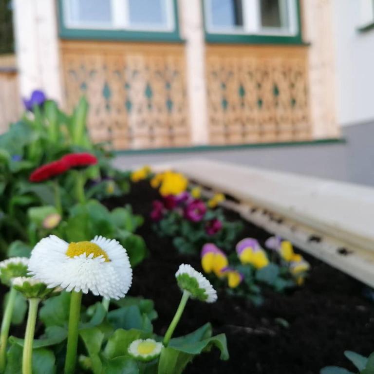 Ferienwohnungen Kalss nahe Altaussee - Apartment mit 1 Schlafzimmer - 22