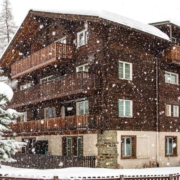 Mountain Apartments Zermatt Nr 1 - Apartamento de 2 dormitorios - 21