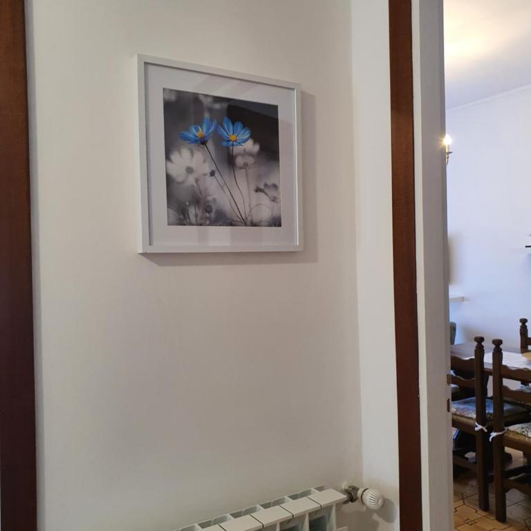 Blue Daisy Apartment - Appartamento - 24