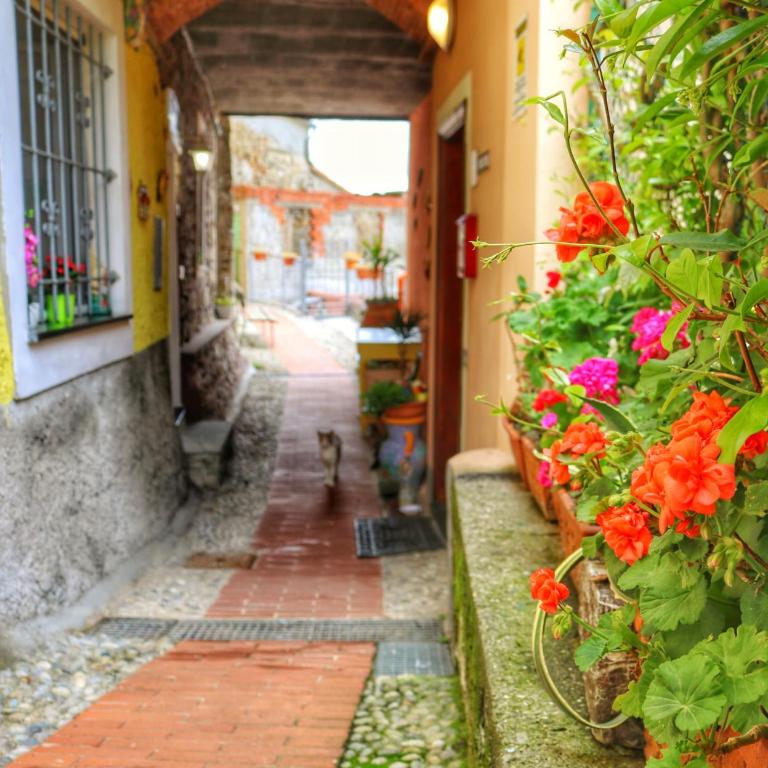 "Casa Sandrina" - Appartamento con 1 Camera da Letto - 24