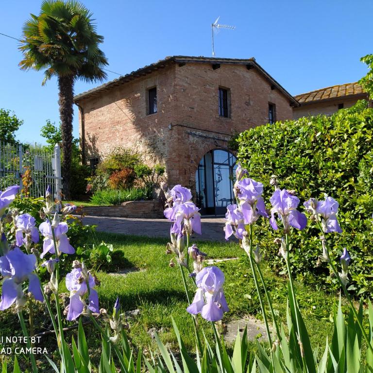 Vignano40 - Casa con 2 Camere da Letto - 20