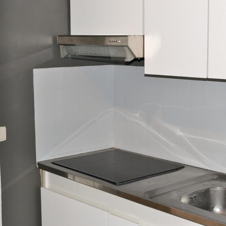 Studio classé de 39 m2 au pied des thermes - Appartement 1 Chambre - 4