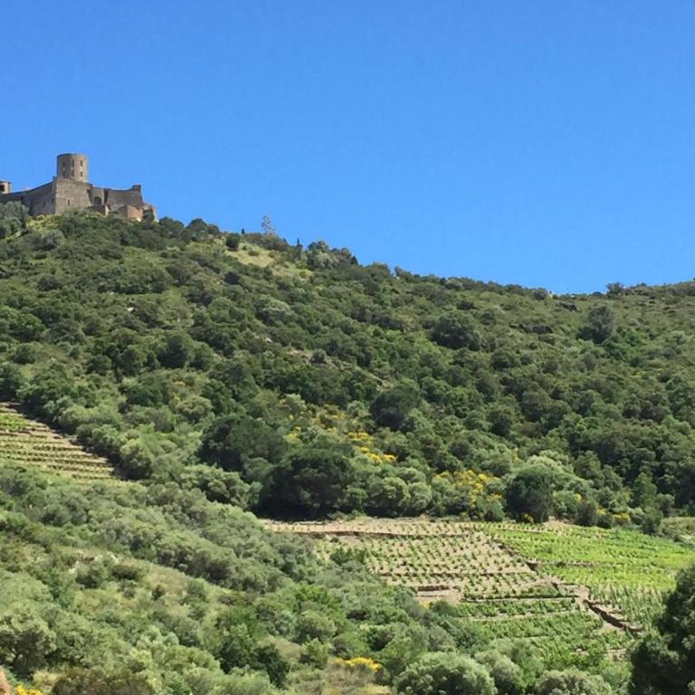 Apartment Olive & Kin, Collioure - Appartamento con 2 Camere da Letto - 25