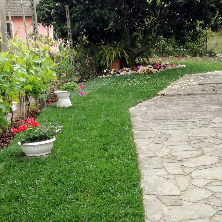 Ca' da Rina - Casa Vacanze - 2