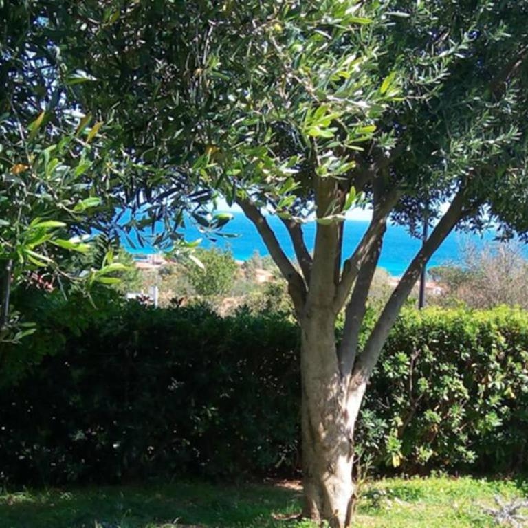 Villetta Elisa, Costa Rei holidays with sea view - Two-Bedroom House - 15