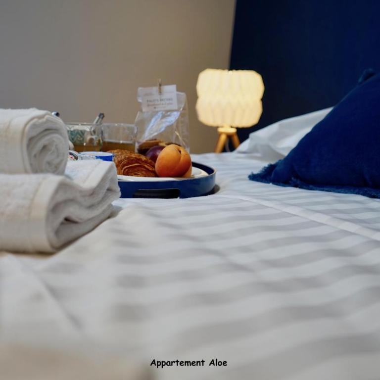 Appartements de caractère centre - Apartment Aloe - 12