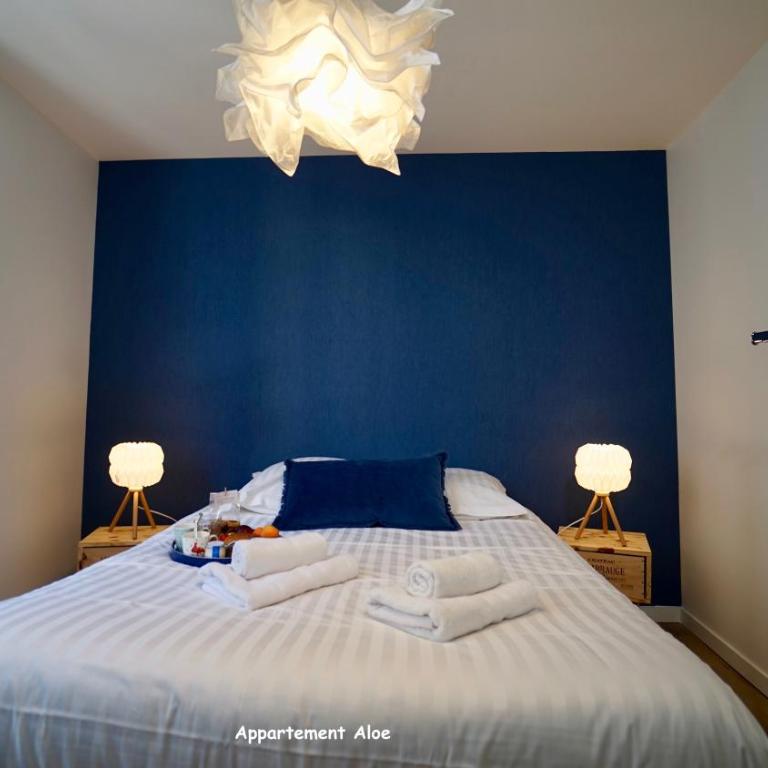 Appartements de caractère centre - Apartment Aloe - 8