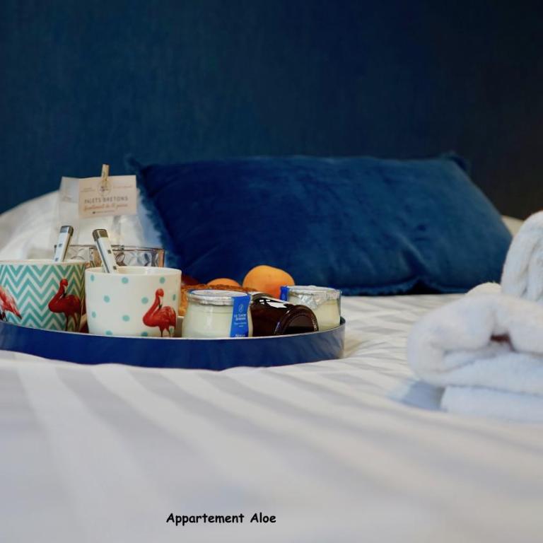 Appartements de caractère centre - Apartment Aloe - 11