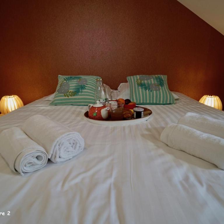 Appartements de caractère centre - Apartment Hibiscus - 11