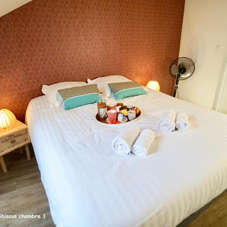 Appartements de caractère centre - Apartment Hibiscus - 8