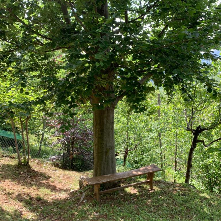 Chalet Alma - Chalet con 2 Camere da Letto - 30