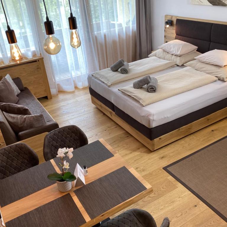 Apartment Luna incl Summercard Zell am See Kaprun - Studio-Apartment - 4
