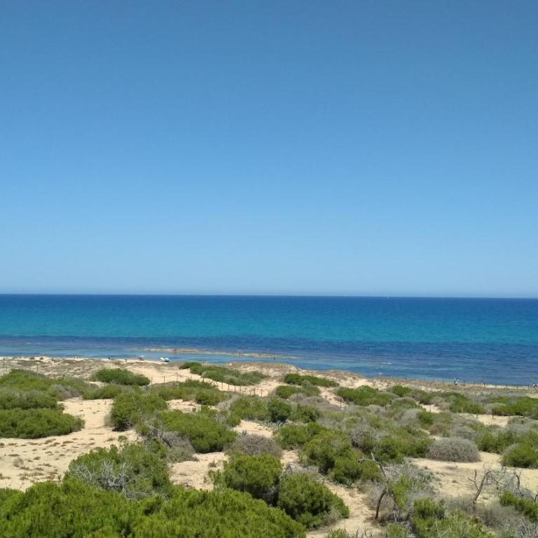 Apartment Infinity Beach, edf Pinada Beach, La Mata, Torrevieja - Apartamento de 2 dormitorios - 33