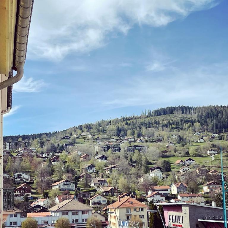 Appartement tout confort haut de gamme en plein centre ville - Appartement Supérieur - 20