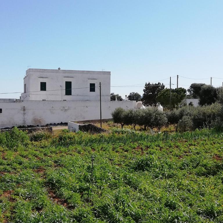 Masseria Ricci - Appartamento - Piano Terra - 21