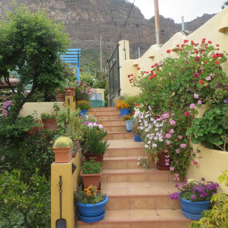 Finca Cortez Apartment 2 - One-Bedroom Apartment - 47