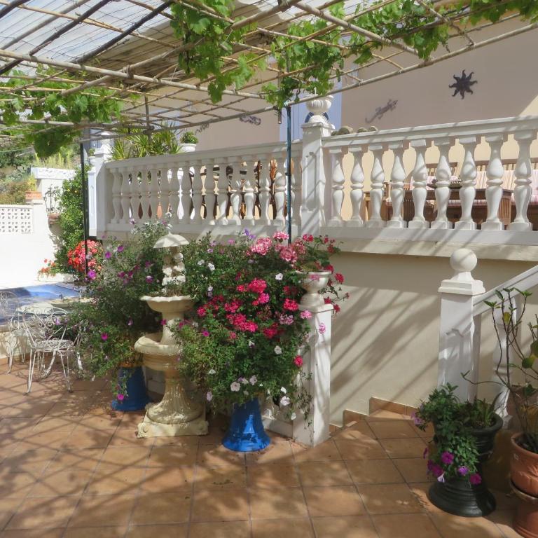 Finca Cortez Apartment 2 - One-Bedroom Apartment - 48