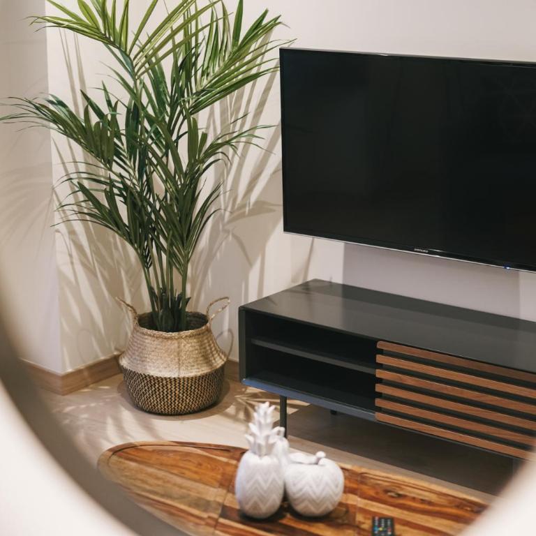 Debambú Atarazanas - Apartamento de 1 dormitorio - 5