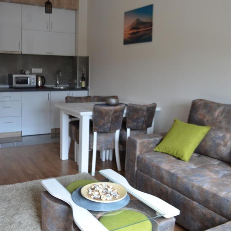 Vila Elsa 2 apartman Kosta Todorović - Apartman sa 1 Spavaćom Sobom - 3