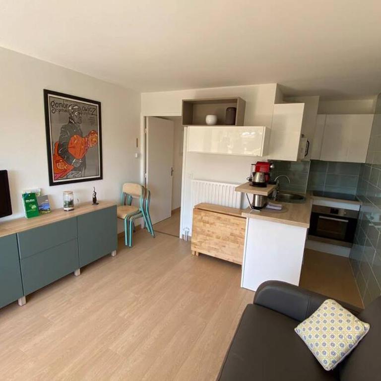 St-Raphaël - joli T1 au port de Santa-Lucia - climatisé - Apartment mit 1 Schlafzimmer - 1