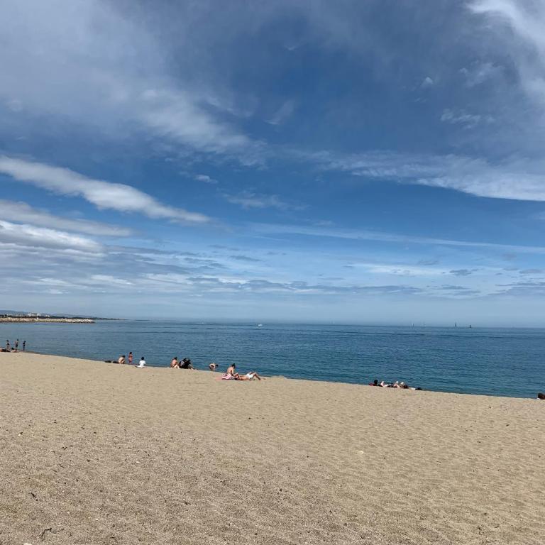 Plein Sud By Bellavista - 400 m de la plage - terrasse - parking - Appartement 2 Chambres - 20