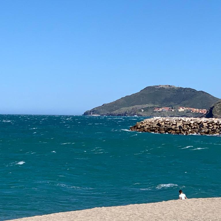 Plein Sud By Bellavista - 400 m de la plage - terrasse - parking - Appartement 2 Chambres - 19