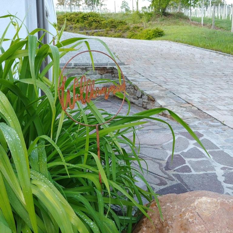 kleine Reblaus - Vacation Home - 31