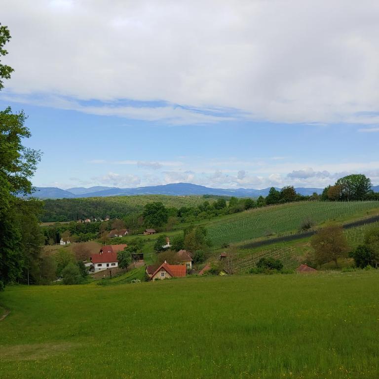kleine Reblaus - Vacation Home - 35