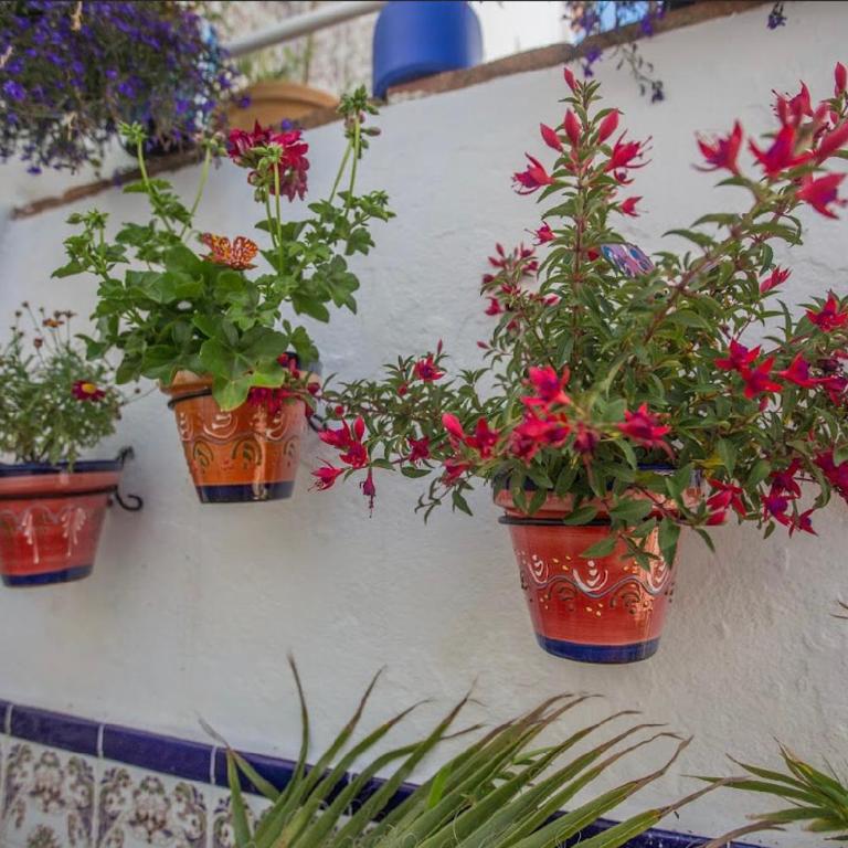 Buddhalounge Apartments - Apartamento de 2 dormitorios - 52