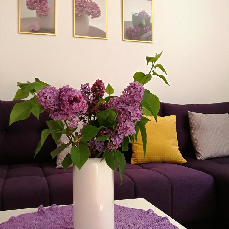LILAC Apartment - One-Bedroom Apartment - 18
