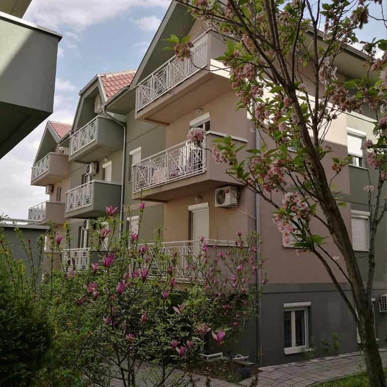 LILAC Apartment - One-Bedroom Apartment - 22