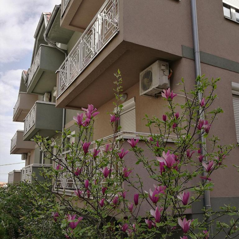 LILAC Apartment - One-Bedroom Apartment - 24