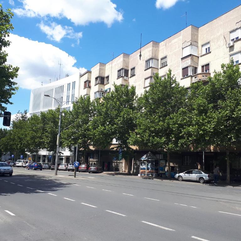 cozy hikers flat - Studio - 2