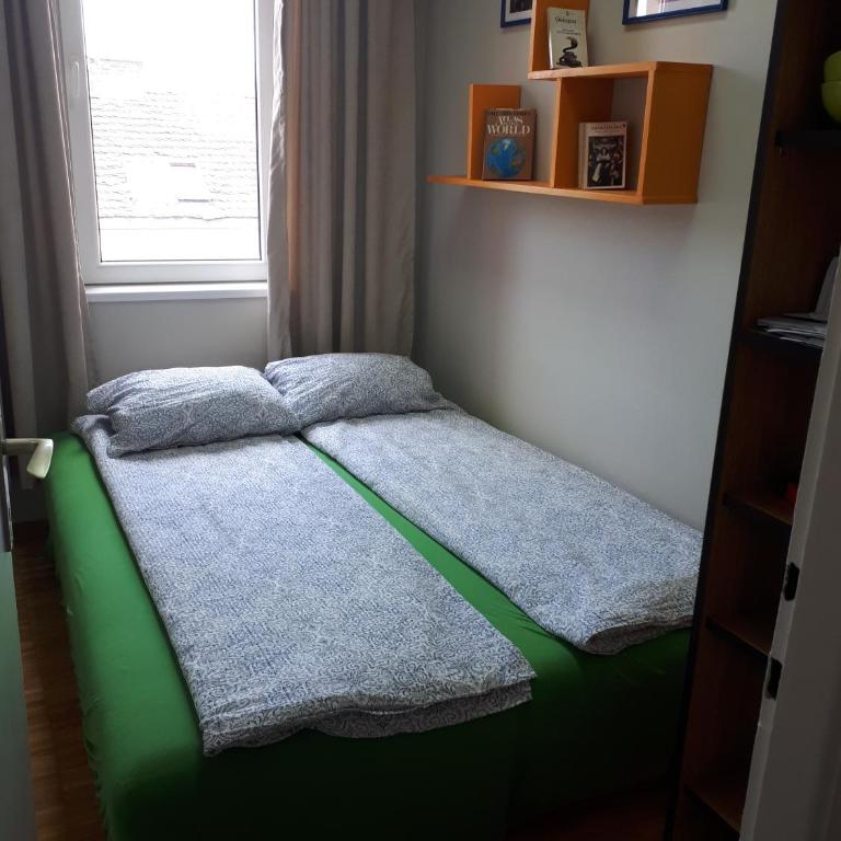 cozy hikers flat - Studio - 7