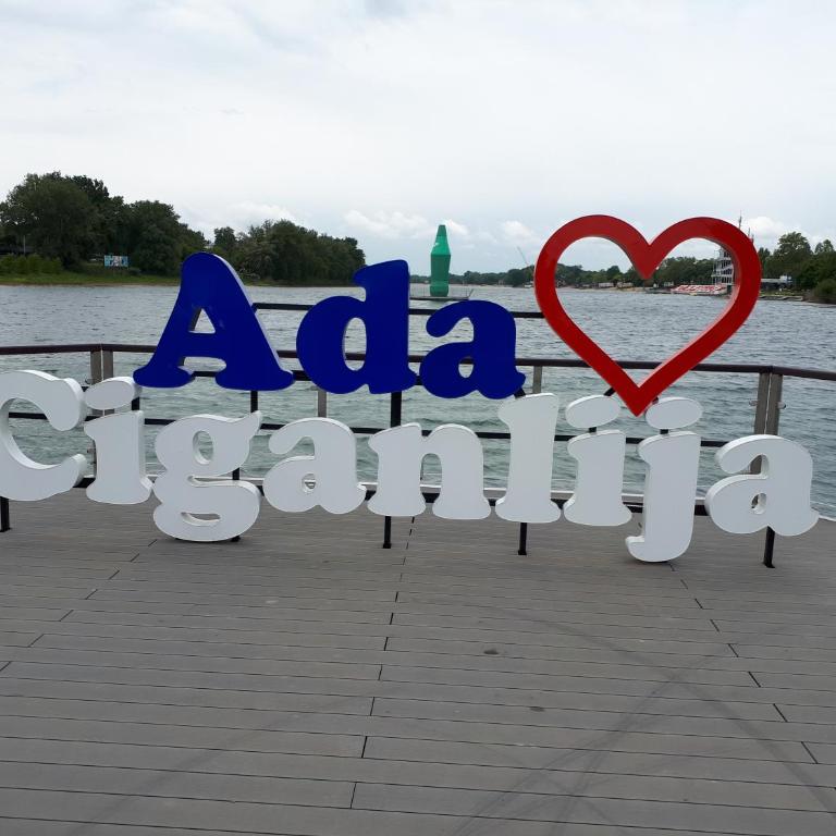 cozy hikers flat - Studio - 19