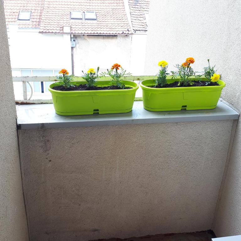 cozy hikers flat - Studio - 22