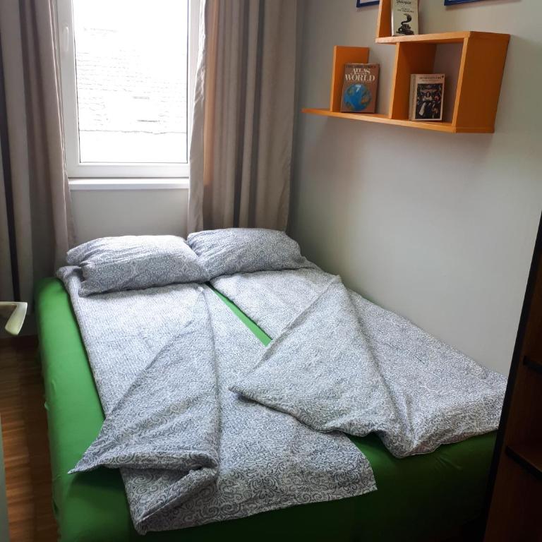 cozy hikers flat - Studio - 21