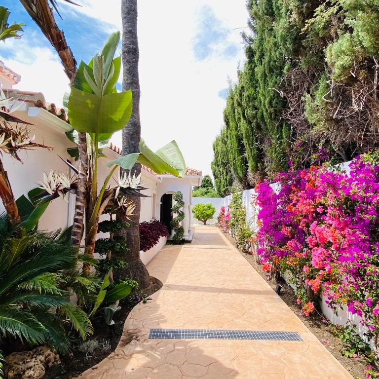 Apartments with tropical garden and sea water pool - One-Bedroom Apartment - 15