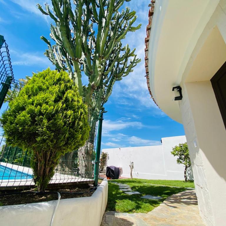 Apartments with tropical garden and sea water pool - One-Bedroom Apartment - 26
